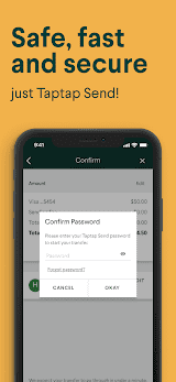 Taptap Send screenshot