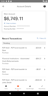 Money Network® Mobile App screenshot