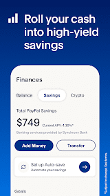 PayPal screenshot
